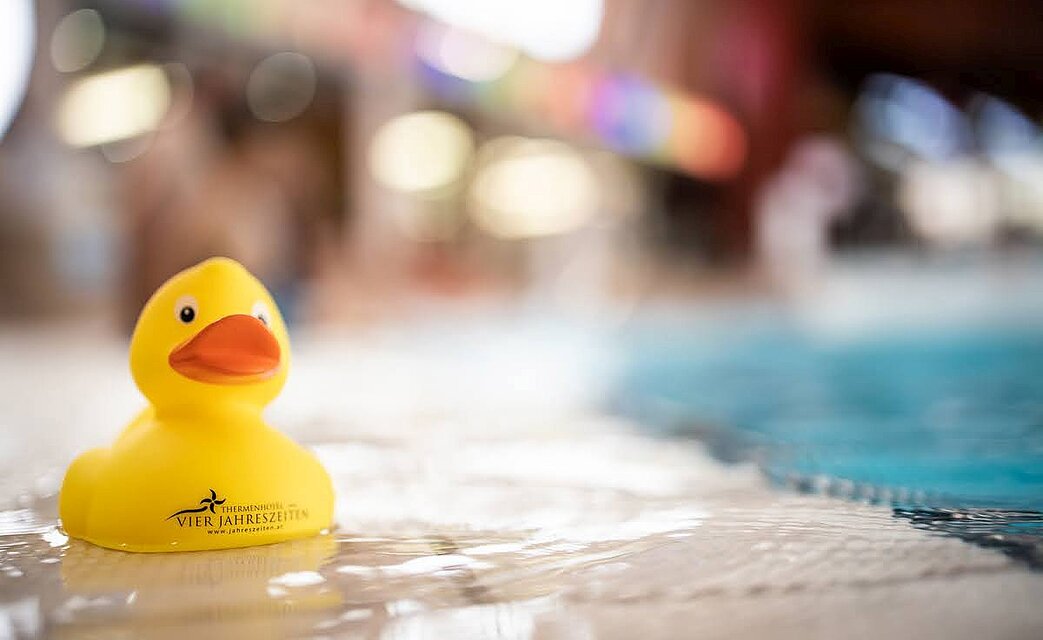 Badeente sitzt am Beckenrand im Thermenresort Loipersdorf
