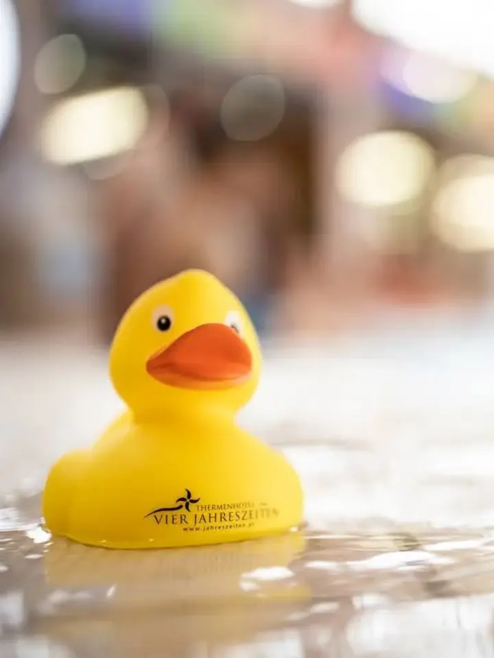 Badeente sitzt am Beckenrand im Thermenresort Loipersdorf