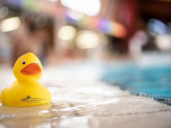 Bathing duck sitting next to the pool at the Loipersdorf spa resort